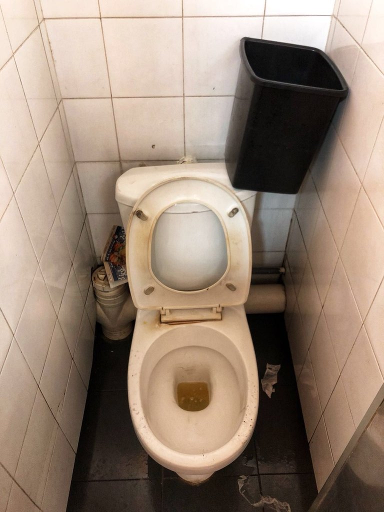 smalltoilet1.jpg