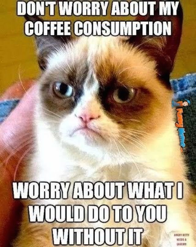 Animal-memes-dont-worry-about-my-coffee-consumption.jpg