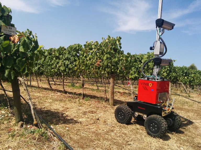 vinbot-agtech-agriculture-robots.jpg