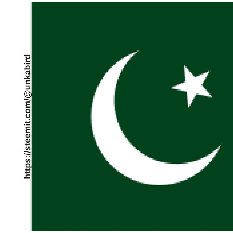 PAK FLAG.jpg