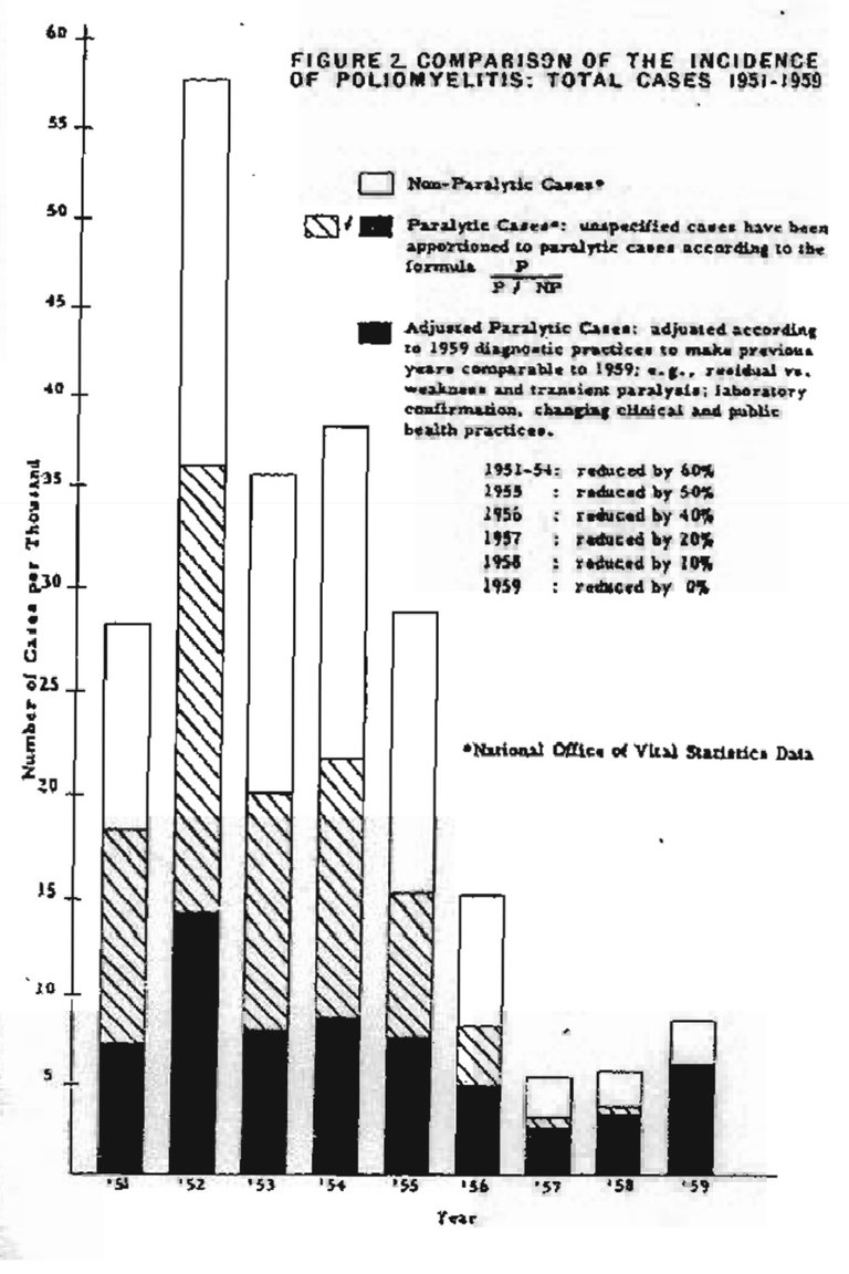 polio rapporto ratner.jpg