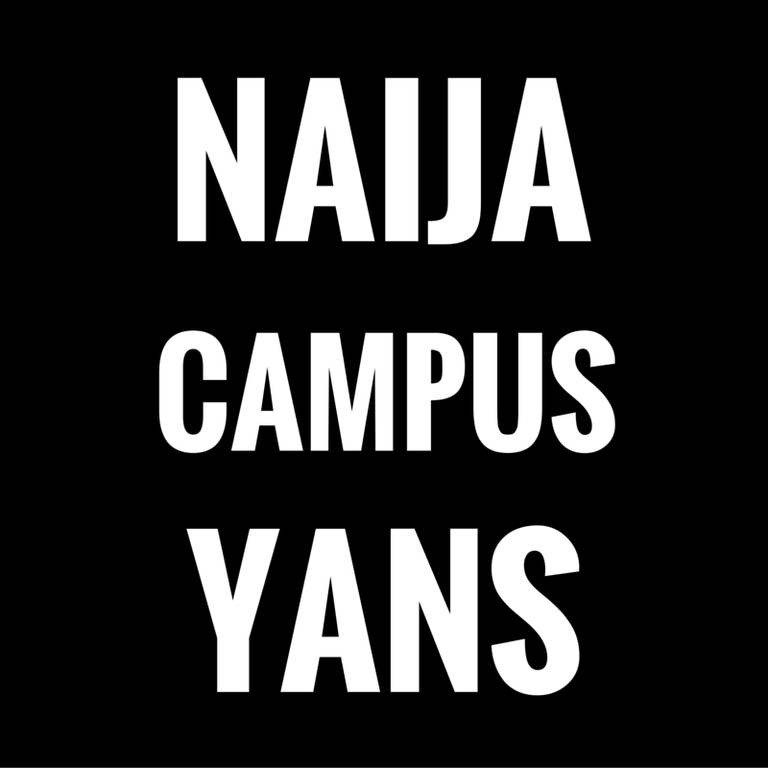 naija campus yans.png