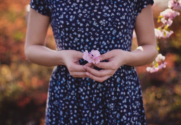 dress-female-flowers-92332.jpg