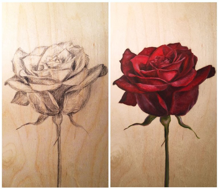 Rose Side by Side_Christie Snelson.jpg