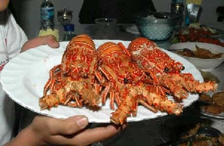 lobster-masak.jpg