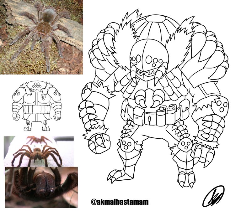 Spider_Theraphosa_goliath_line.jpg