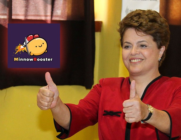 Dilmabooster.jpg