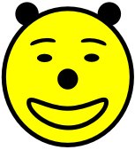 Smiley Face Yellow 169H.jpg