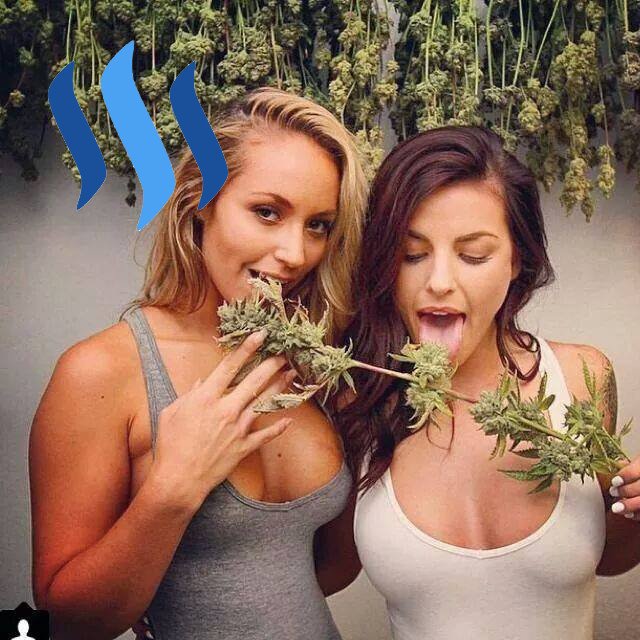 Cannagirl x2.jpg