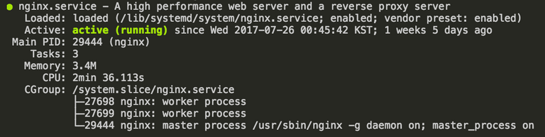 nginx 설치 후 상태 확인