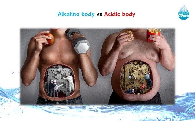 acidic-body.jpg