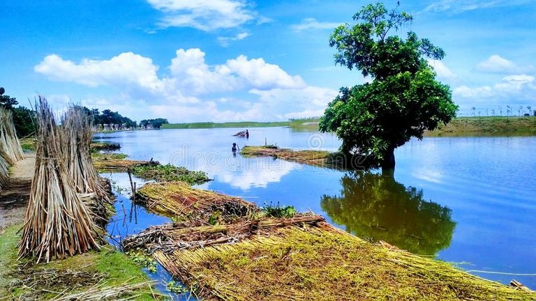 natural-beauty-bangladesh-naturally-beautiful-country-blue-sky-white-clouds-looks-awesome-fiber-kept-water-100461301.jpg