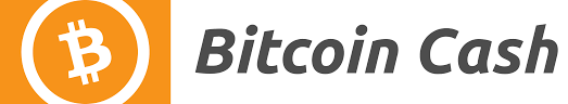 BCH LOGO.png