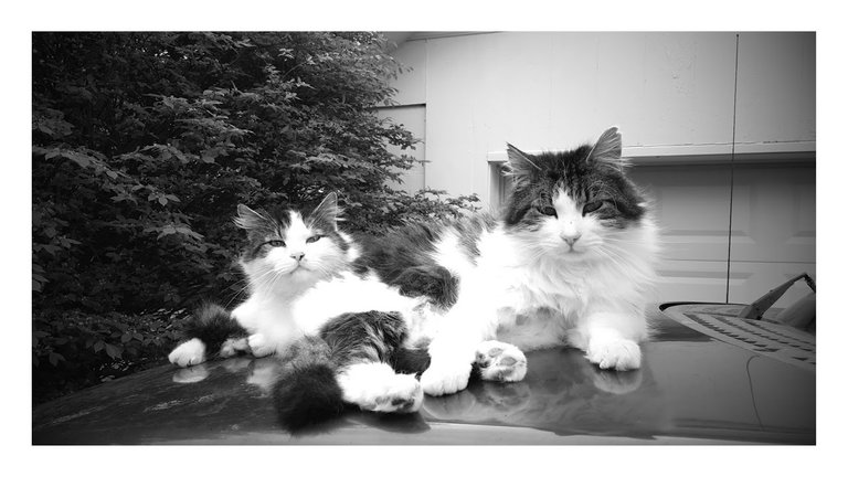 20170424_165942-EFFECTS.jpg