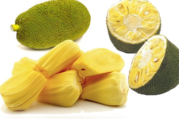 jackfruit.jpg