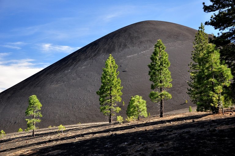 st tree volcano.jpg