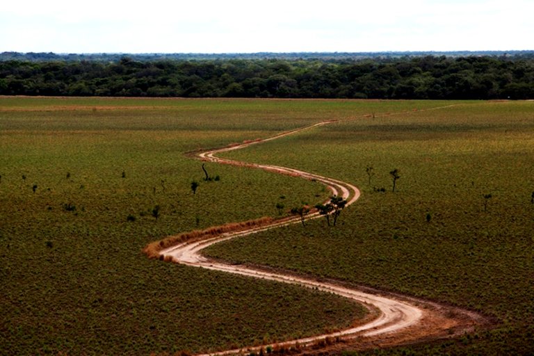 Recorrido-por-las-Galeras-de-CinarucoApure.jpg