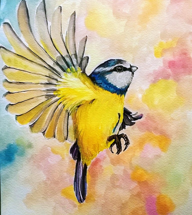 blue_tit_2_by_jyacini.jpg