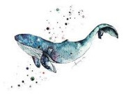 blue whale art   Google Search.png