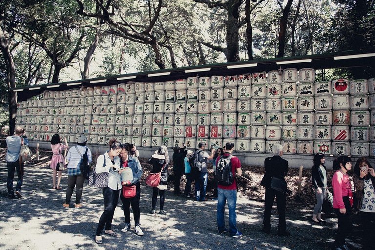 meiji-shrine-862-145.jpg