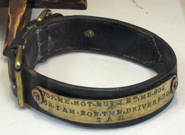 1280px-BobtheSouthAustralianRailwaysDogcollar.jpg