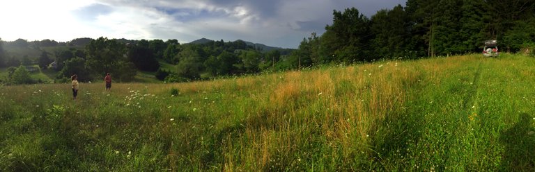 Land Dreaming Pano.jpg