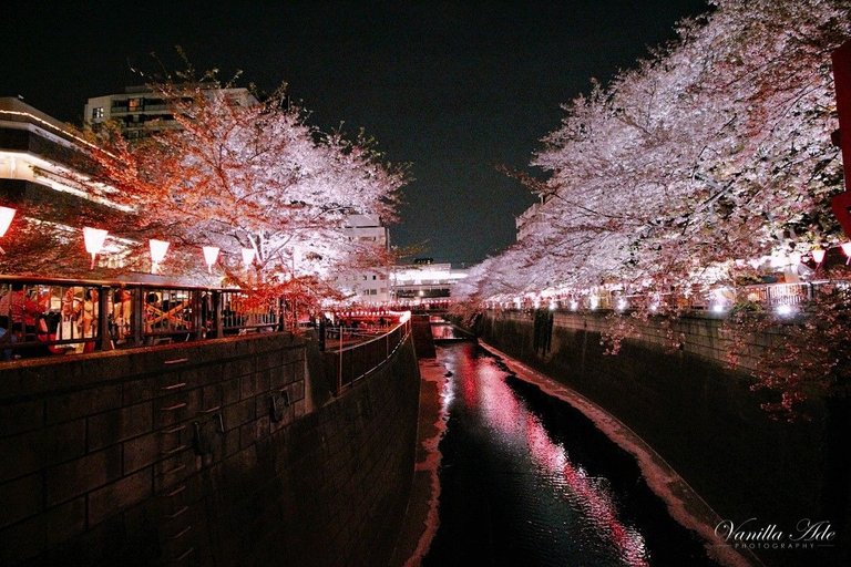 nakameguro.jpg