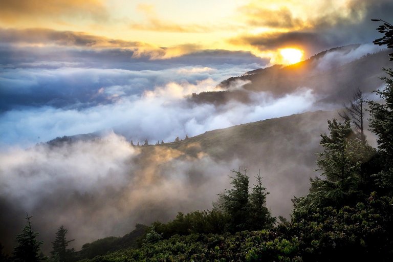 mountains-clouds-fog-yellow-sun-forest-below-freedomain.jpg