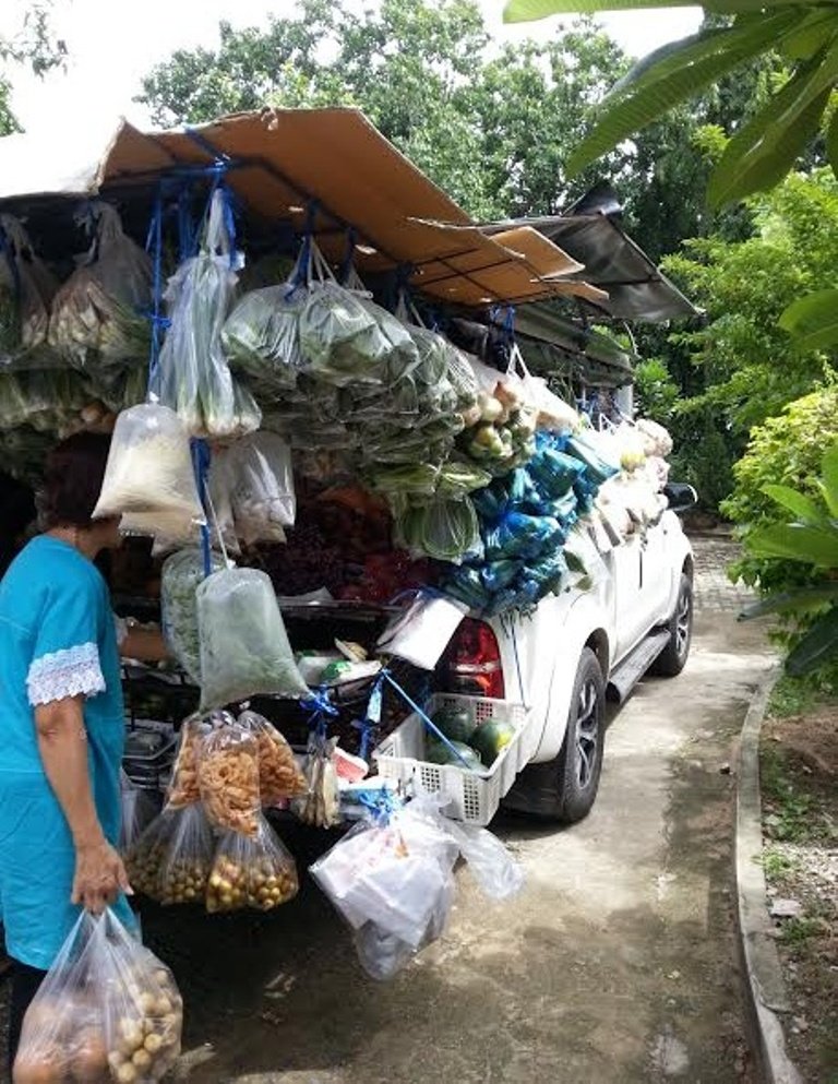 Mobile fruit and vegetable shop1.jpg