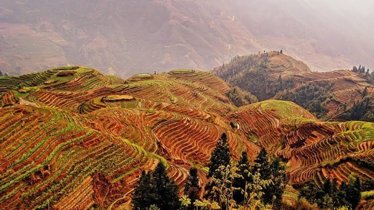 03_picfair-161501682-longji-terrace-field-longsheng-china-768x432.jpg