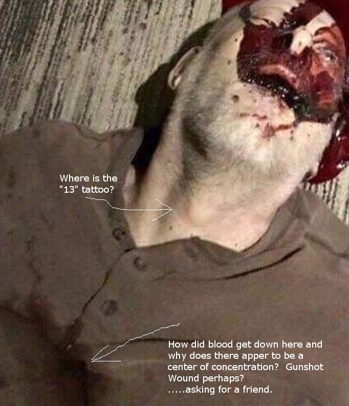 paddock_Dead_zoom.JPG