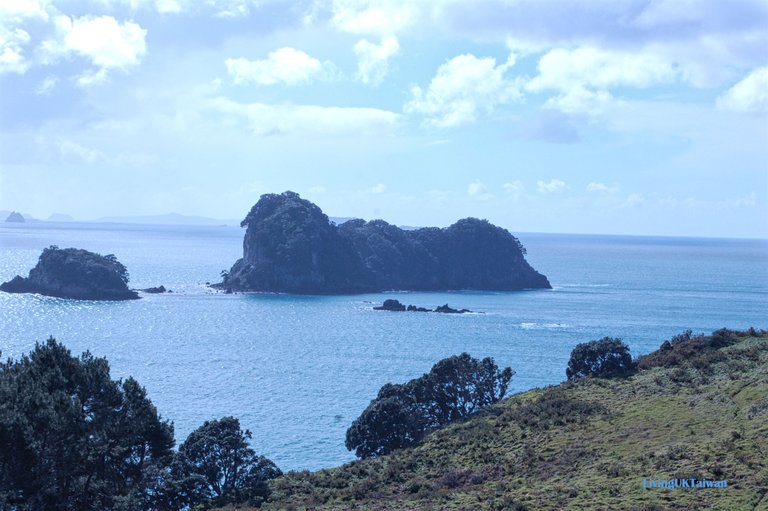 nz6_10.jpg