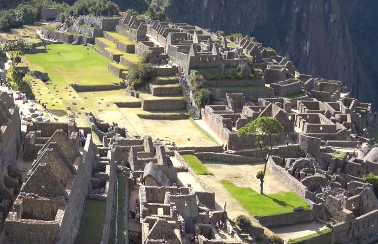 17 Machu Picchu Lama.JPG
