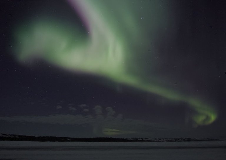 bird-shaped-northern-lights-yellowknife-low-res.jpg