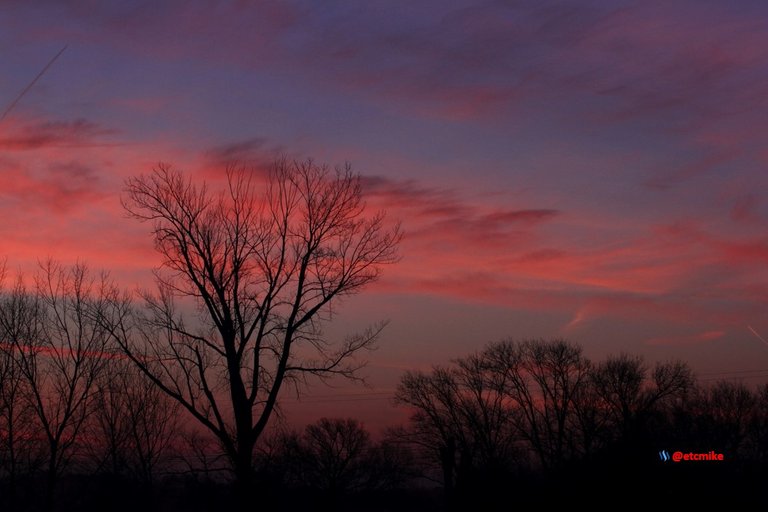 pink sunrise dawn SR15-07.JPG