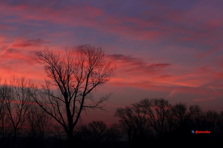 pink sunrise dawn SR15-15.JPG