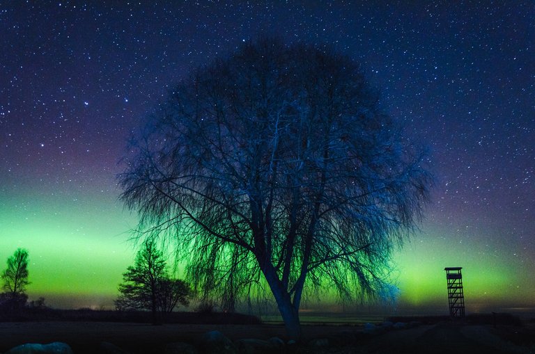 Hendrik Mändla - The northern sky.jpeg