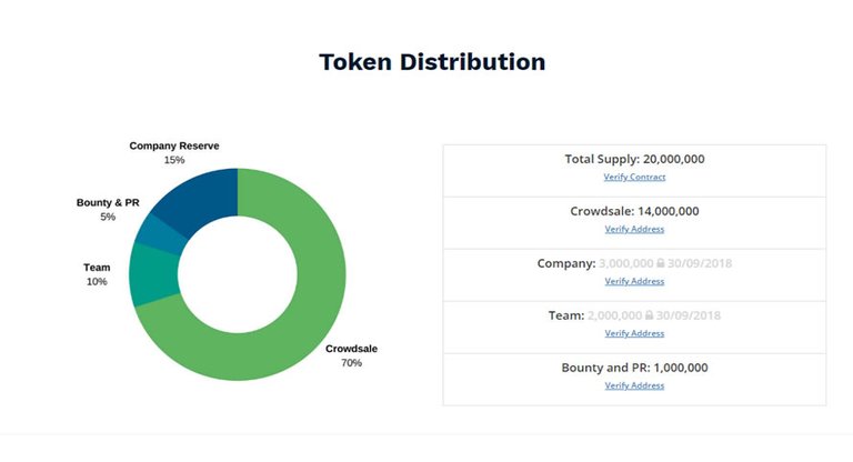 ZNC token distibution.jpg