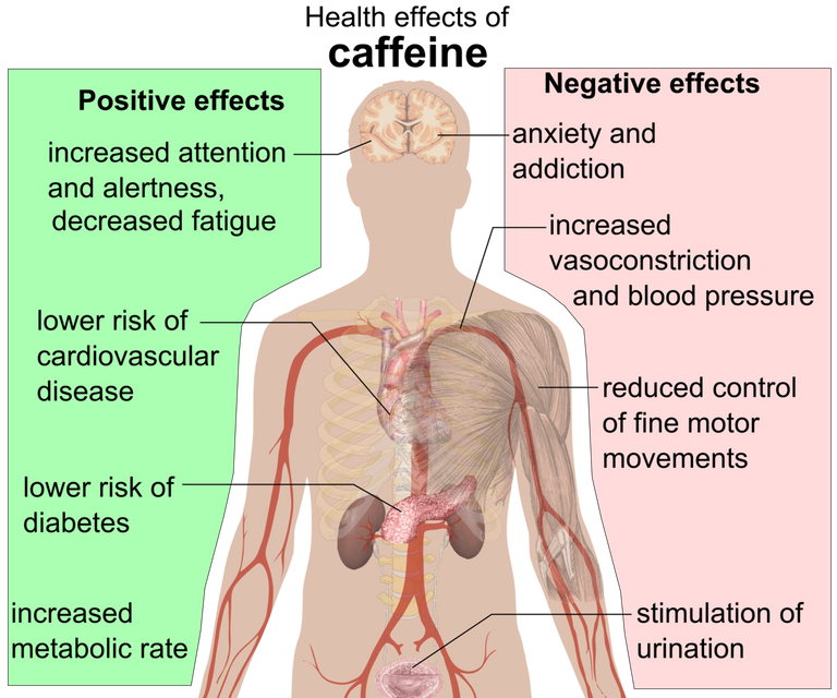 1229px-Health_effects_of_caffeine.png