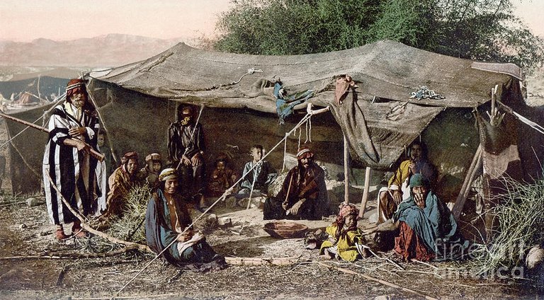 bedouin-camp.jpg