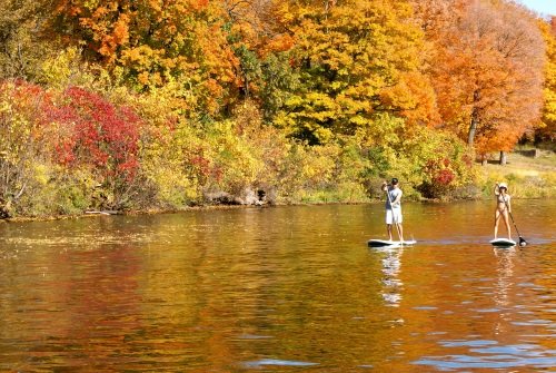 stand-up-paddleboarding-small.jpg