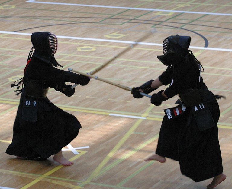 Kendo_EM_2005_-_kote.jpg