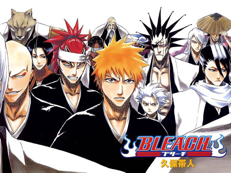 Bleach 4.jpg