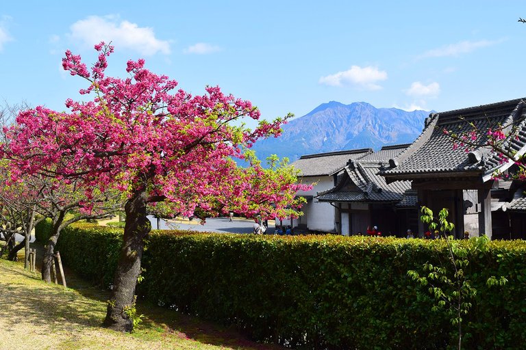 Kagoshima Gardens - robbieallenart.jpg