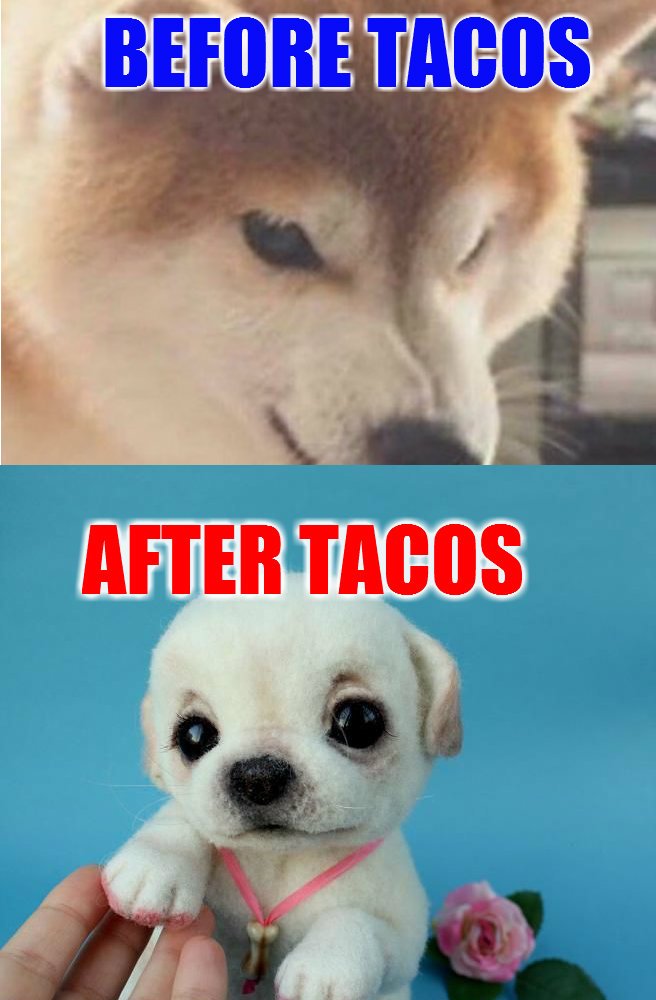 TACOS1.jpg