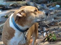 Sandy01.jpg