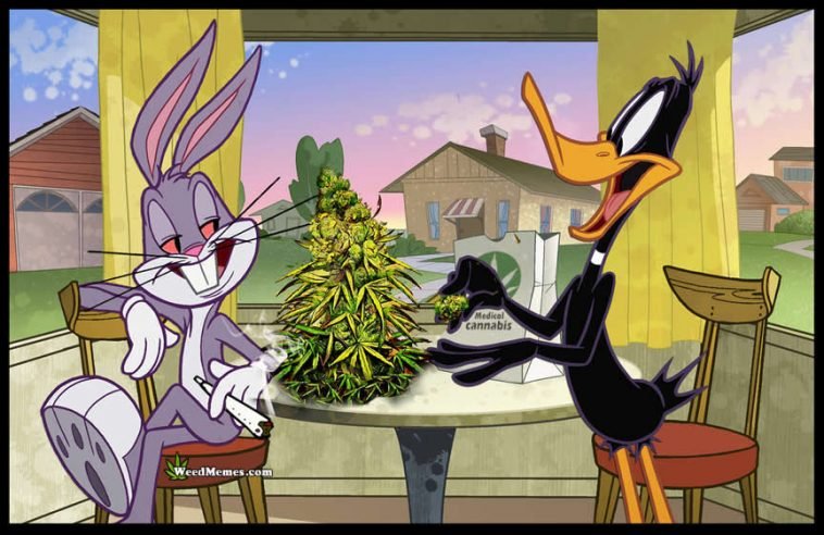 buds-bunny-daffy-duck-weedmemes-758x492.jpg