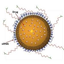 global liposomes drug delivery market.jpg