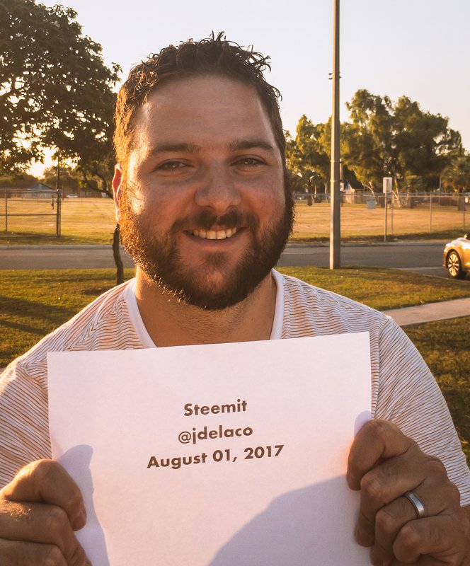 Steemit-jdelaco-2017-08-01.jpg