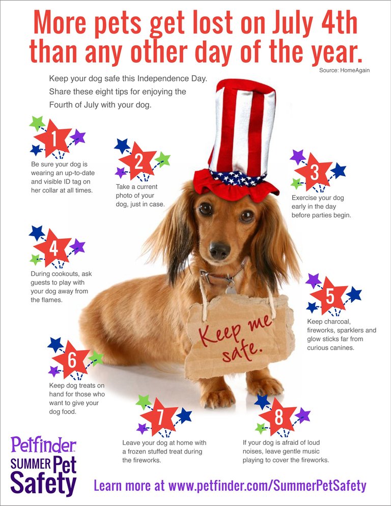 july-4-dog.jpg